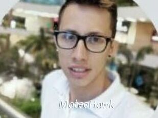 MateoHawk