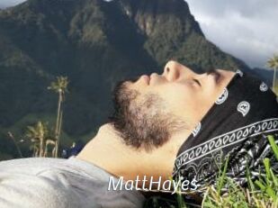 MattHayes