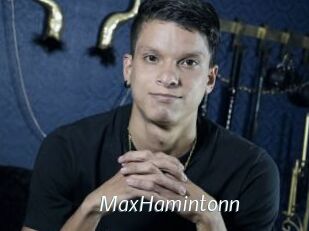 MaxHamintonn
