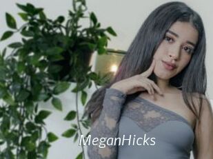 MeganHicks