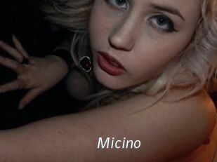 Micino