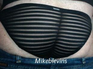 Mikeblevins