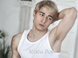 Misha_Bush