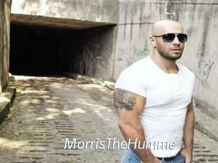 MorrisTheHumme