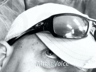 MrBigVoice