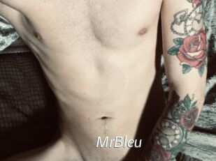 MrBleu