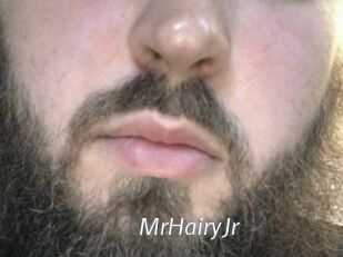 MrHairyJr