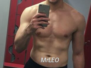 MrLEO