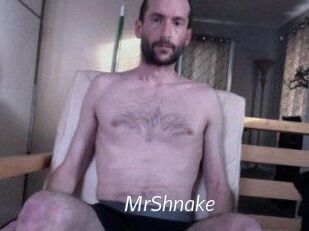 MrShnake