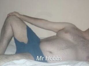 Mr_Hobbs