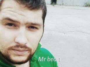 Mr_bear1