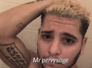 Mr_pervysage Porn Star
