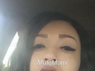 MulaMami