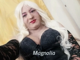 Magnolia