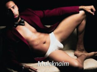 Maleknaim