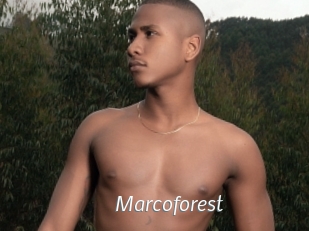 Marcoforest
