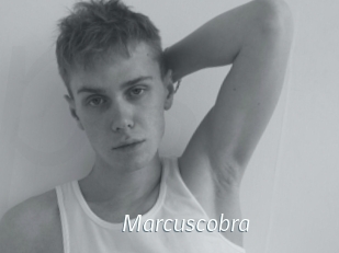 Marcuscobra