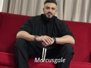 marcusgale Porn Star