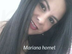 Mariana_hornet