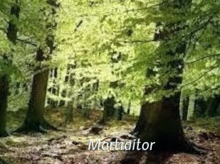 Martiaitor