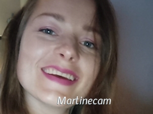 Martinecam