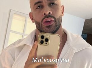 Mateoospiina