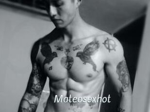 Mateosexhot