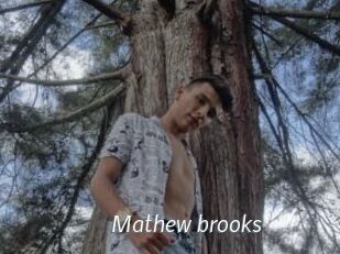 Mathew_brooks