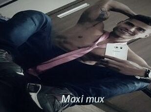 Maxi_mux