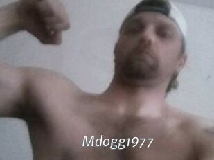 Mdogg1977