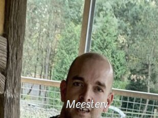 Meesterv