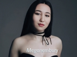 Meganembury