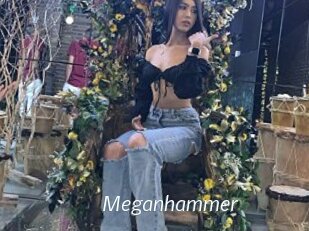 Meganhammer