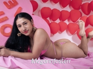 Megannfosterr