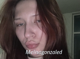 Melisagonzaled