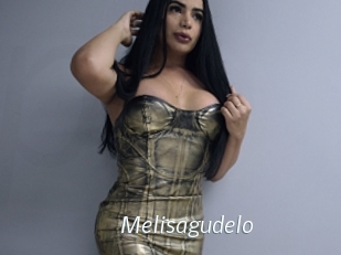 Melisagudelo