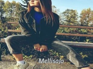 Mellisajo