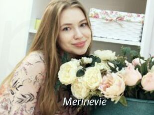 Merinevie