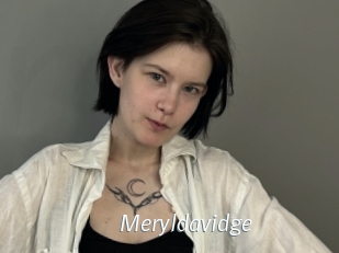 Meryldavidge