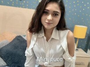 Mini_puca