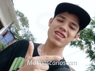 Molinascarloscam