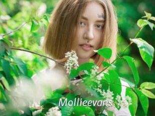 Mollieevans