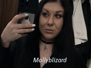 Mollyblizard