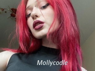Mollycodle