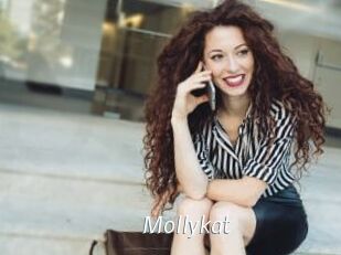 Mollykat