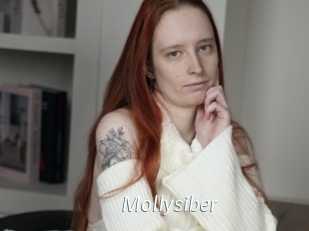Mollysiber