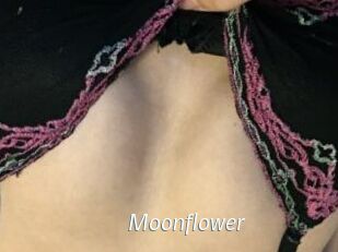 Moonflower