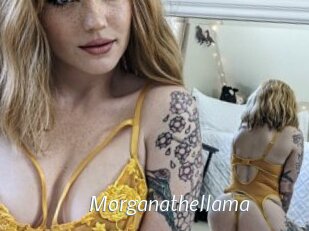 Morganathellama