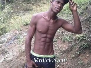 Mrdick20cm