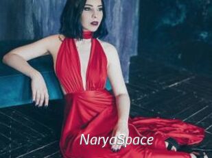 NaryaSpace